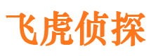 嘉陵市侦探调查公司